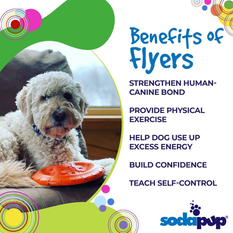 SodaPup Bottle Top â€“ Durable Flyer Retrieving Toy Made in USA from Non-Toxic, Pet-Safe, Food Safe Natural Rubber for Bonding, Physical Exercise, Building Confidence, Teaching Self-Control, & More - Image 4